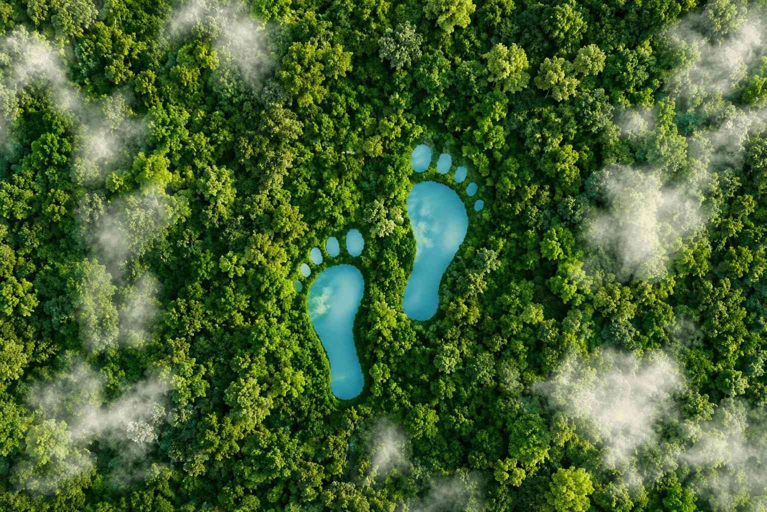 What Is a Carbon Footprint, Really? A Plain-English Guide