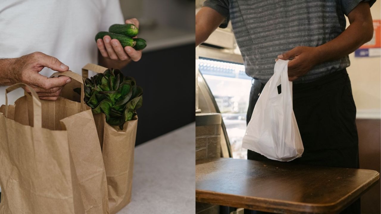 Paper vs Plastic Bags: Which Is Actually the Better Choice?