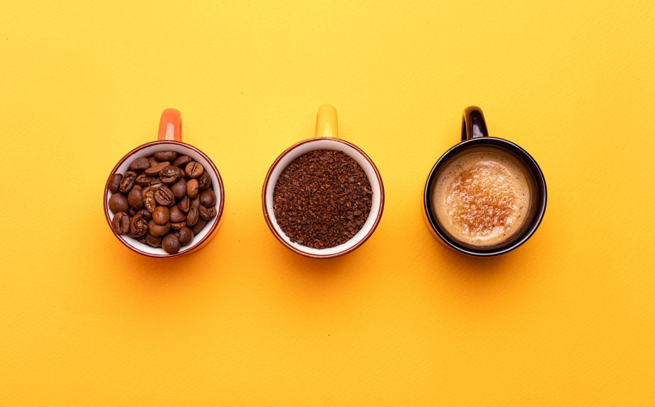 The Sustainable Coffee Guide: Beans, Roasts, Brews, and What to Choose